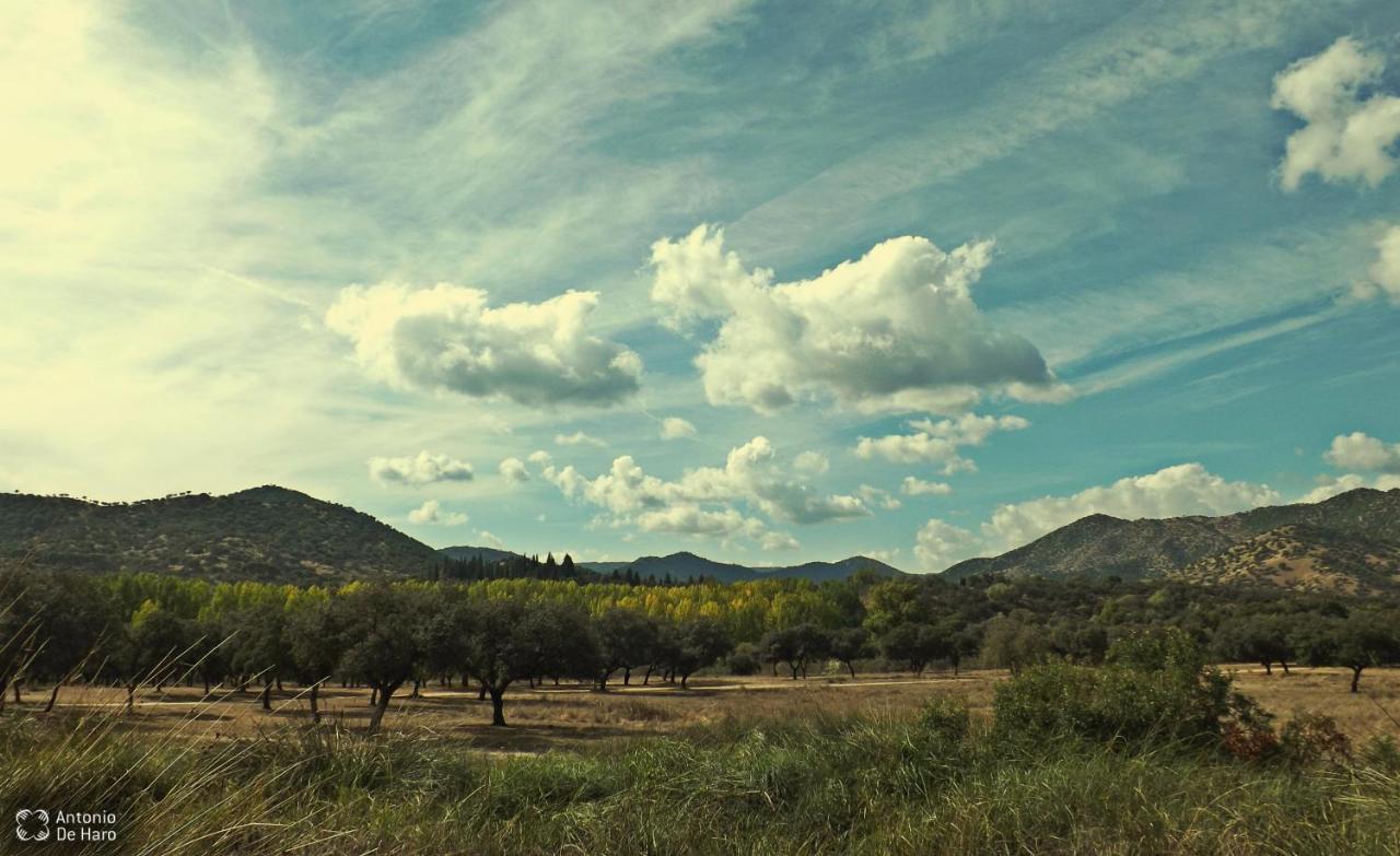 Villa Vina Concepcion Andújar Esterno foto